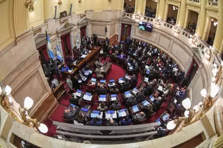 La sesión en el Senado arrancó a las 10 de la mañana y se extendió hasta la medianoche para la votación. Imagen: NA