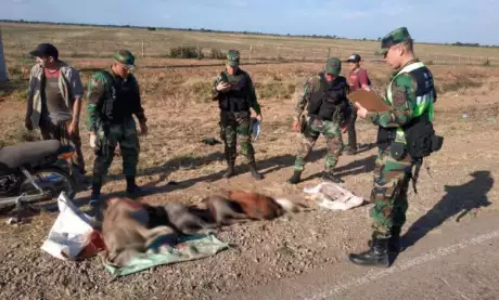  Parte de lo secuestrado. Foto: Policía de Salta