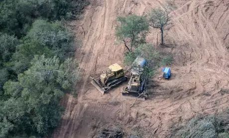  Las provincias con más deforestación son Chaco y Santiago del Estero.