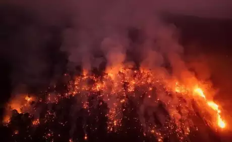 La devastación causada por un incendio forestal en el Amazonas (REUTERS/Bruno Kelly)