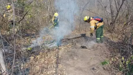  Intenso operativo para sofocar incendios forestales. Foto: Gobierno de la provincia