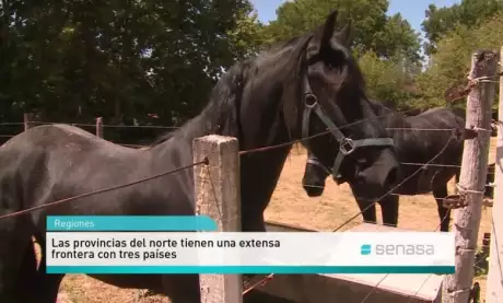  Autoridades del organismo confirmaron otros casos irregulares.