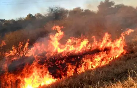  Incendio en el Parque Nacional Baritu.