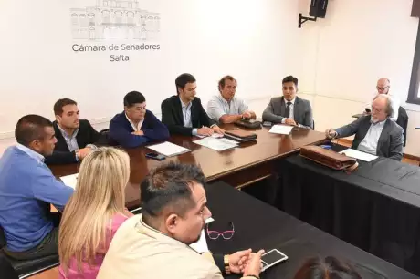 Aguirre Astigueta y Carranza (penúltimo y último) en comisiones. Imagen: Gentileza