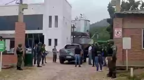 Una planta allanada por efectivos de Gendarmería en la zona de seguridad fronteriza de Salvador Mazza.