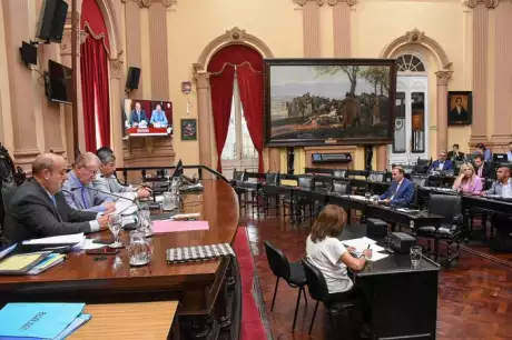 Senado salteño. Imagen: Gentileza