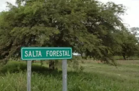  Salta Forestal se encuentra a cargo de Ignacio Lupión. Foto: RRSS.