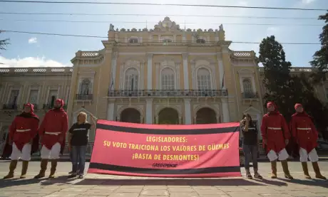  Agrupaciones ambientalistas realizaron diferentes intervenciones.