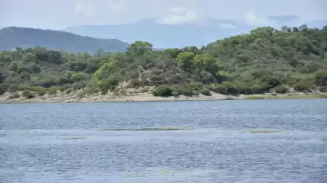  Si bien el mensaje es de tranquilidad, recomiendan tomar precauciones.