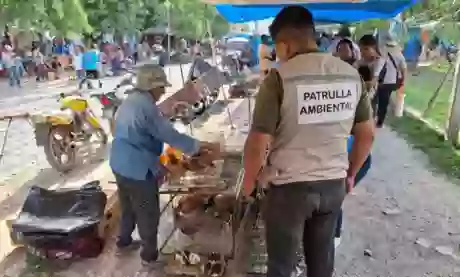  Multaron a feriante por tener 50 animales vivos de distintas especies para su comercialización